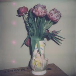 remembrance