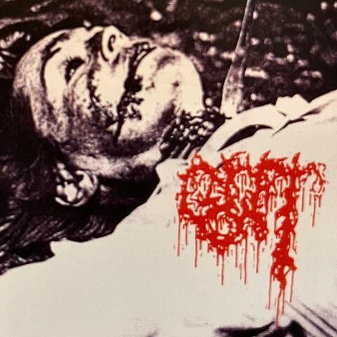 Corroded In Bestialized And Gorefying Wormjizz
