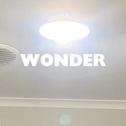 WONDER