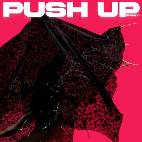 Push Up (Remix)
