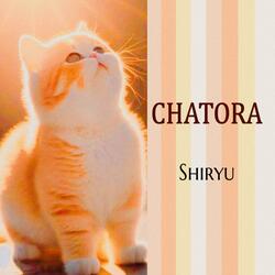 chatora (piano solo)