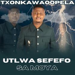 Utlwa sefefo sa moya