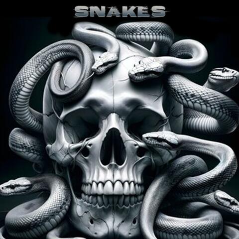 Snakes