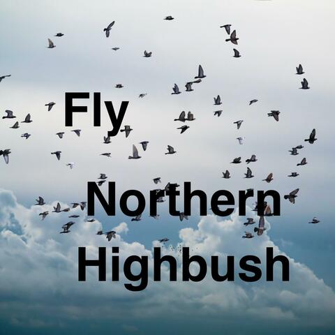 Fly