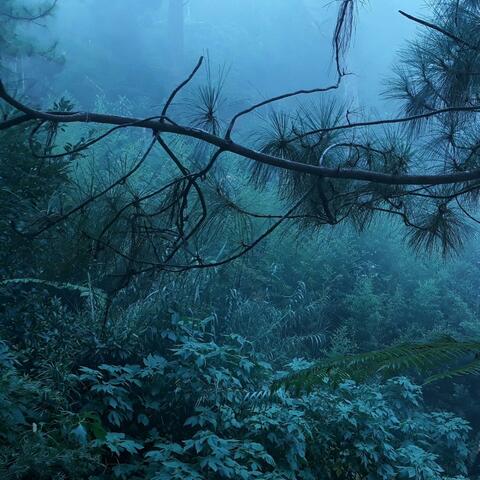 deep abyss