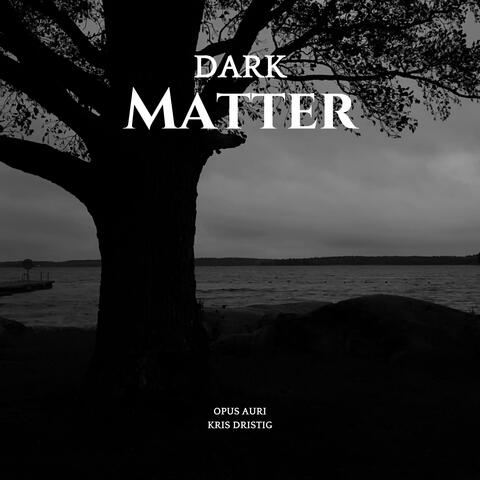 Dark Matter