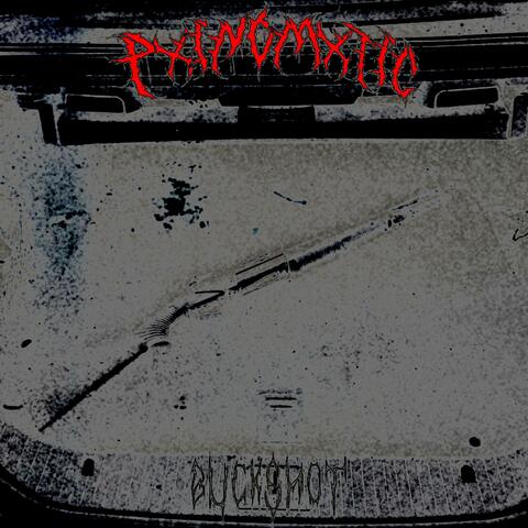BUCKSHOT! (slowed)