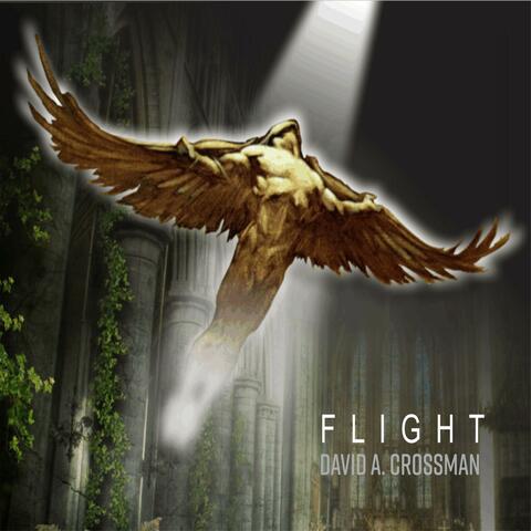Flight