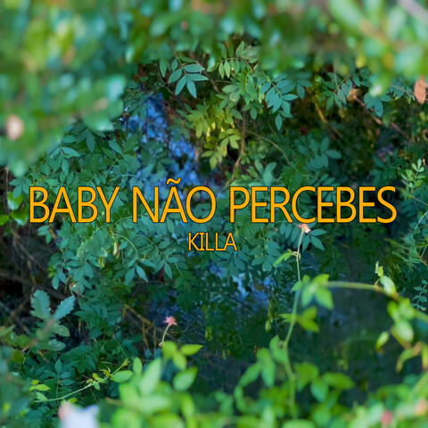 Baby Não Percebes