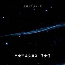 Voyager 303