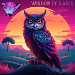 Wisdom Of Sages