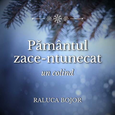 Pământul zace-ntunecat