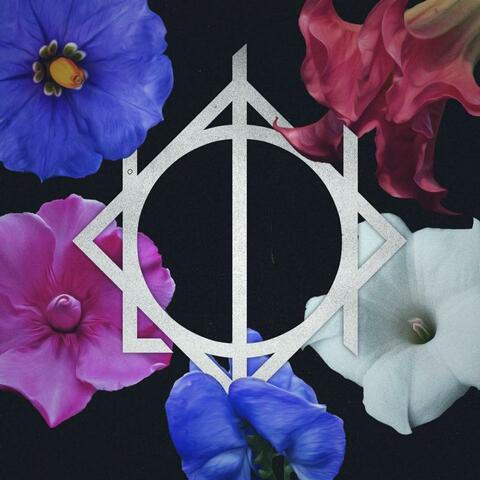 Hollow (feat. Scott Barnes)
