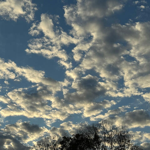 Angels Fill the Skies by Nancy Vencill