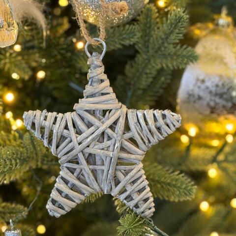 The Star that Leads Us Home by Nancy Vencill
