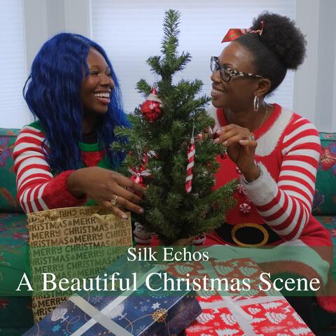 A Beautiful Christmas Scene