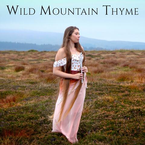 Wild Mountain Thyme