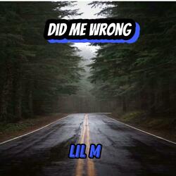 Did Me Wrong