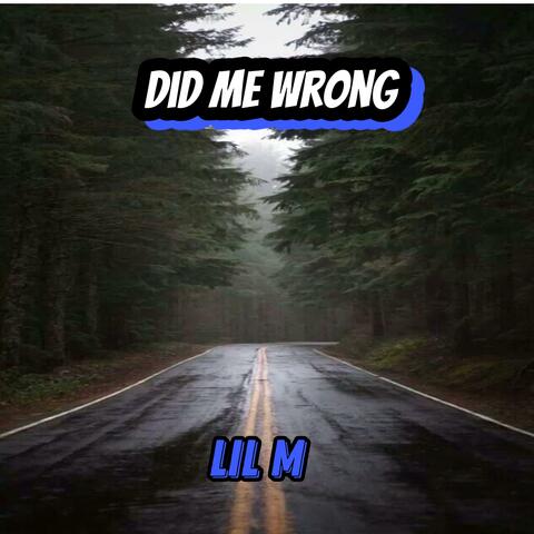 Did Me Wrong