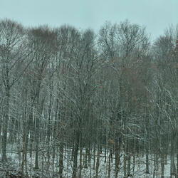 Secret Place by Nancy Vencill
