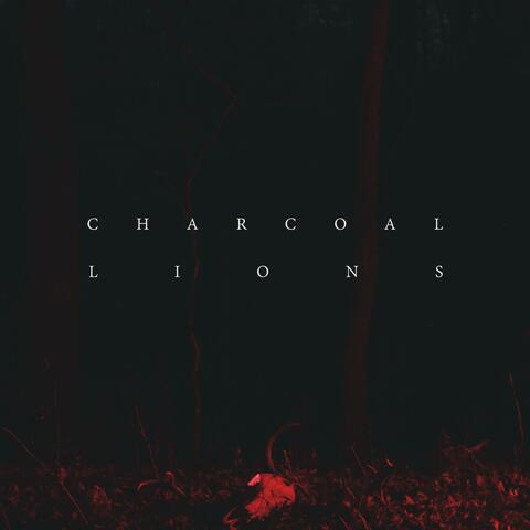 Charcoal Lions