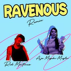 Ravenous (2nd Plate Remix) (VJtheDJ Remix)