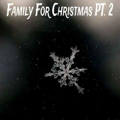 Family For Christmas, Pt. 2 (feat. JamieNetflix)