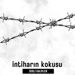 İntiharın Kokusu Gri Versiyon