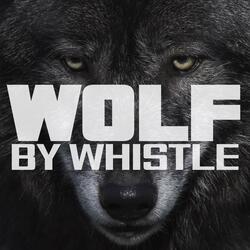 Why is it called Whistle? (Interlude)
