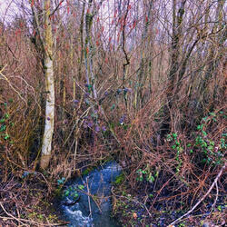 0ther.sights.unkn0wn