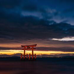 we have lost our way