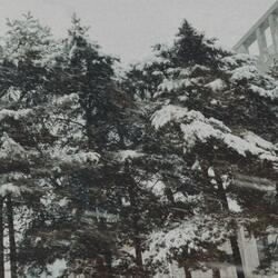 괜찮아 (i'm fine)