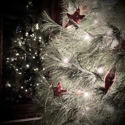 My Silent Night