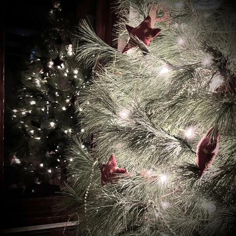 My Silent Night
