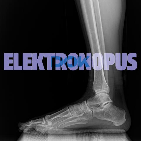 ELEKTRONOPUS