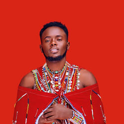 Ndimieki