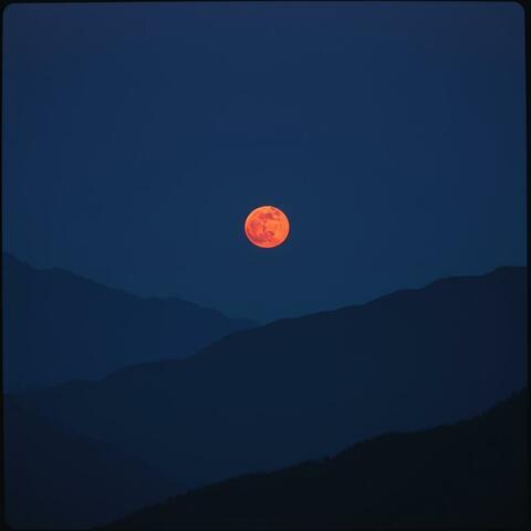 꽃잎의 서약