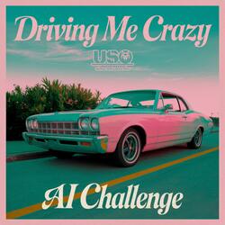 Driving Me Crazy (Open-Hook AI Challenge)