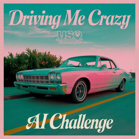 Driving Me Crazy (AI Challenge)