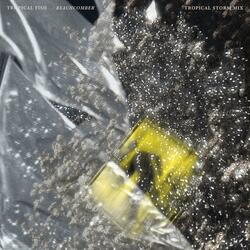 Beachcomber (Tropical Storm Mix)