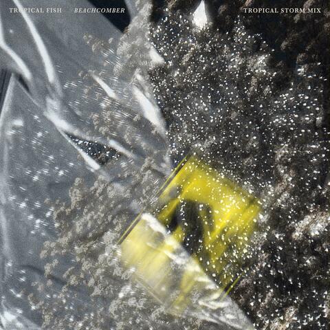 Beachcomber (Tropical Storm Mix)