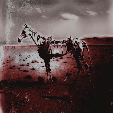 Goodbye Horses