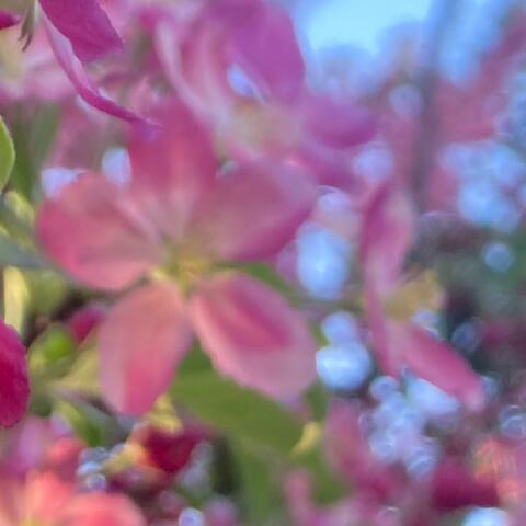 Dig Your Nails Into Their Eyes