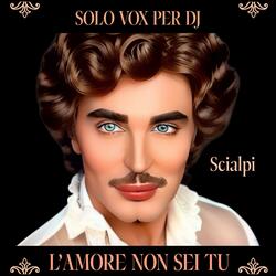 L'AMORE NON SEI TU (SOLO VOX PER DJ)