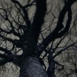 c'mon live a little (slowed)