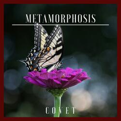 Metamorphosis