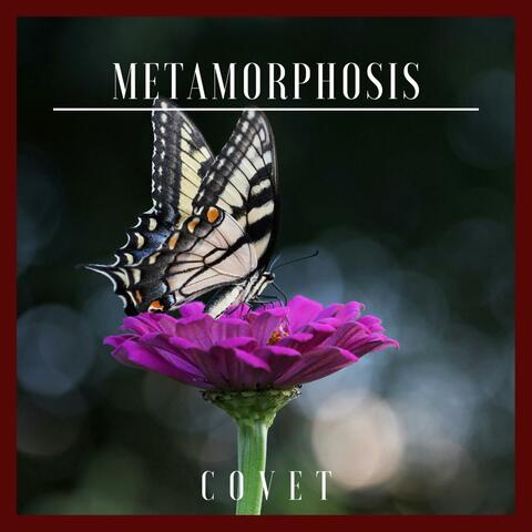 Metamorphosis