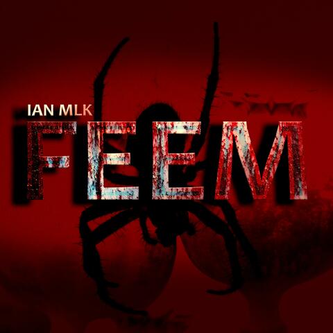 FEEM
