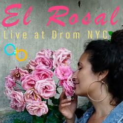 El Rosal (LIVE At Drom NYC) (feat. Bárbara Martínez, Albert Alabedra, Olyda Ola, Bob DiGiacomo, Engin Gunaydin, Gonzalo Grau & Yusnier Sanchez Bustamente) (Live)