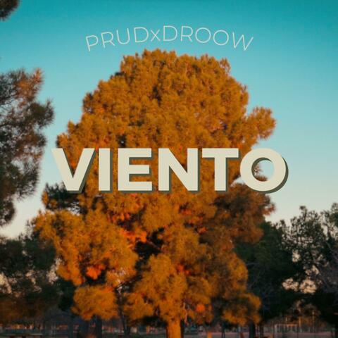 Viento